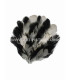 BASE DE PLUMES