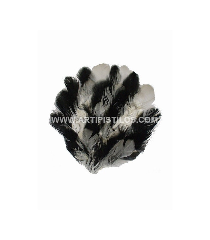 BASE DE PLUMES