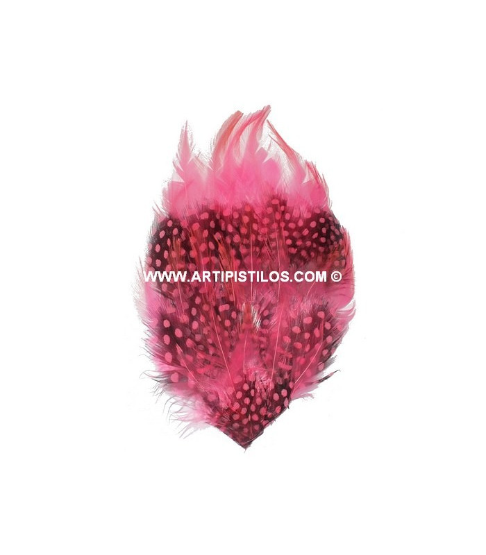 BASE DE PLUMES