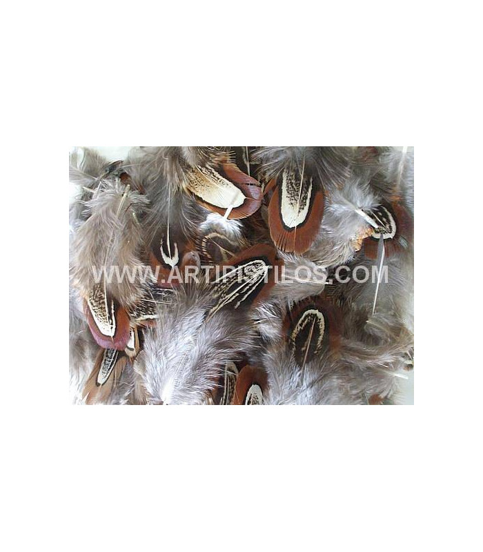 SAC DE 12 PLUMES ENVIRON FAISAN