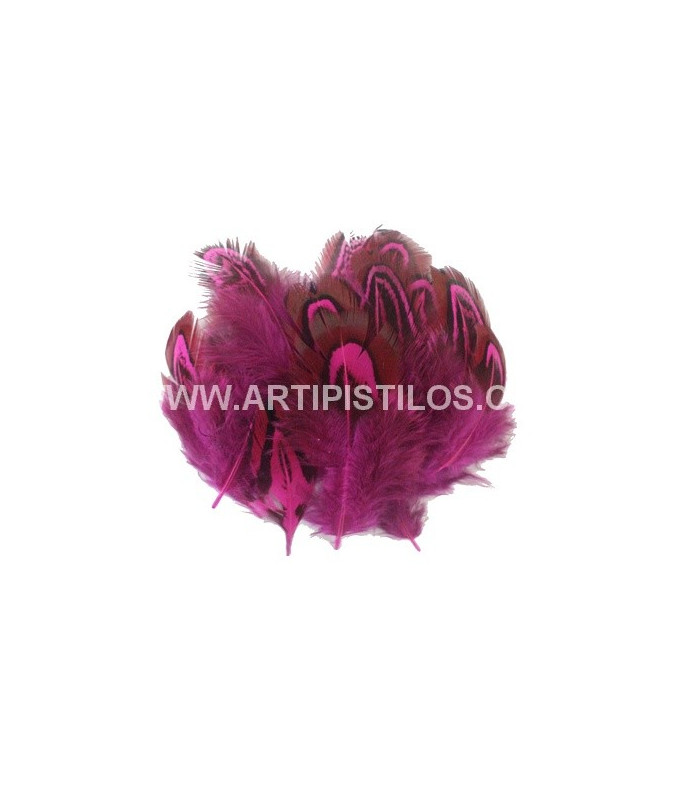 SAC DE 12 PLUMES ENVIRON FAISAN