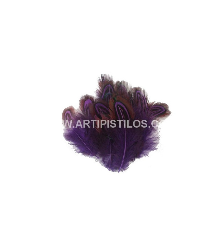 SAC DE 12 PLUMES ENVIRON FAISAN