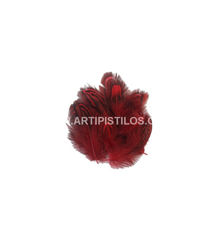 SAC DE 12 PLUMES ENVIRON FAISAN