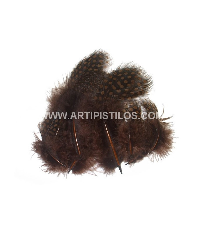 SAC DE 12 PLUMES POULET DE GUINÉE