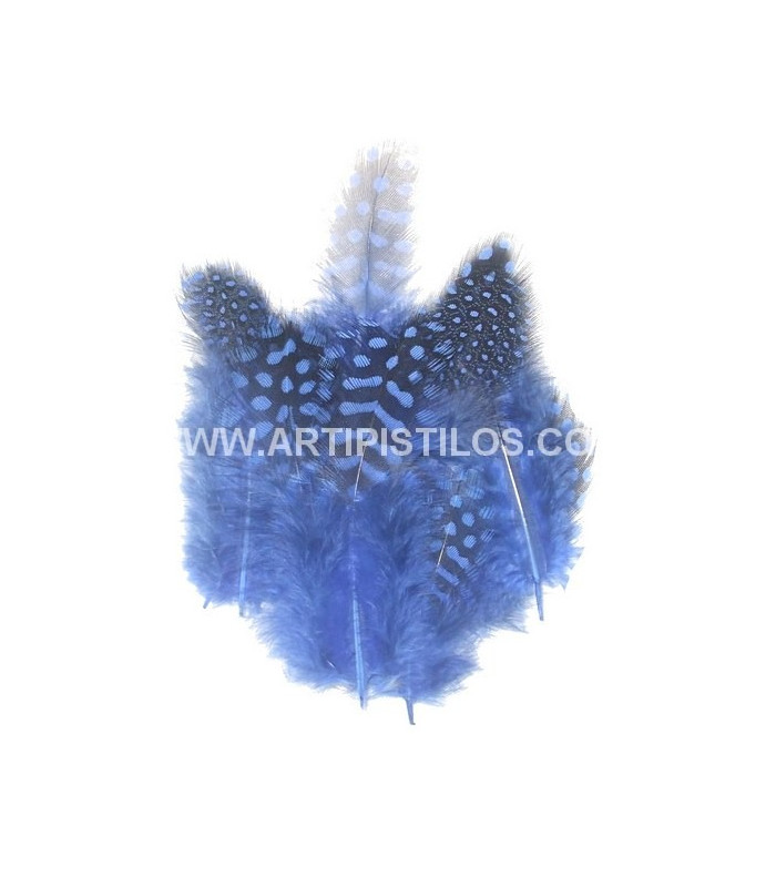 SAC DE 12 PLUMES POULET DE GUINÉE