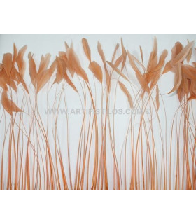 ANTENNE DE COQ 25/30 CMS.