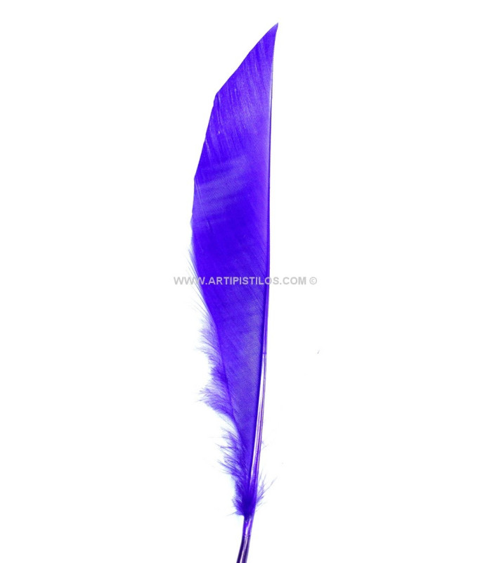 Plumes de canard coupé 12 X 2 CMS.