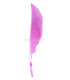 Plumes de canard coupé 12 X 2 CMS.