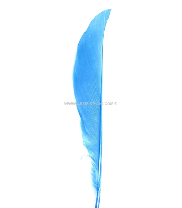 Plumes de canard coupé 12 X 2 CMS.