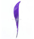 Plumes de canard coupé 12 X 2 CMS.