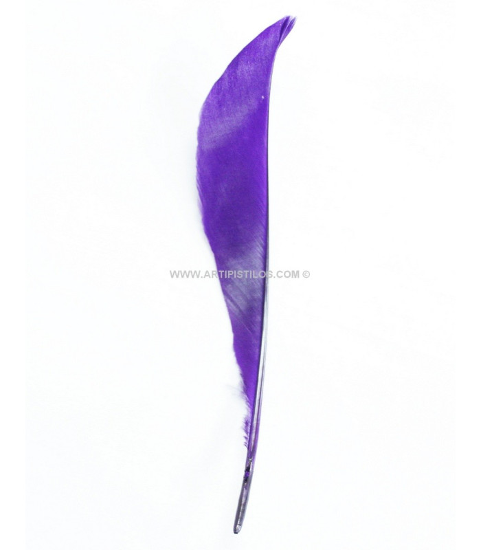 Plumes de canard coupé 12 X 2 CMS.