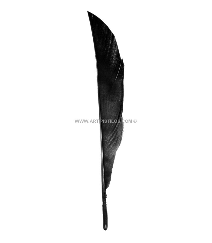 Plumes de canard coupé 12 X 2 CMS.