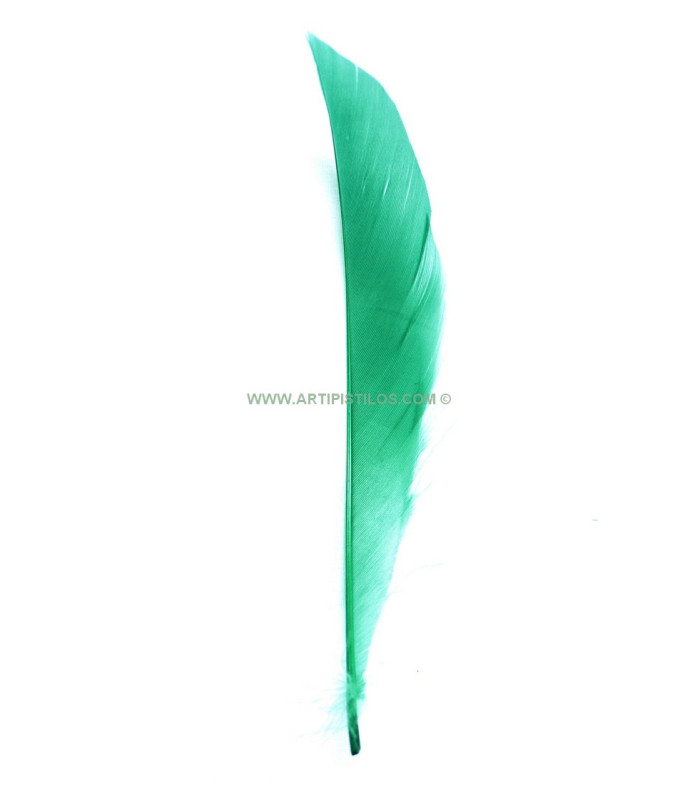 Plumes de canard coupé 12 X 2 CMS.