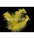 PLUME FRISÉE DE CANARD 15 CMS.