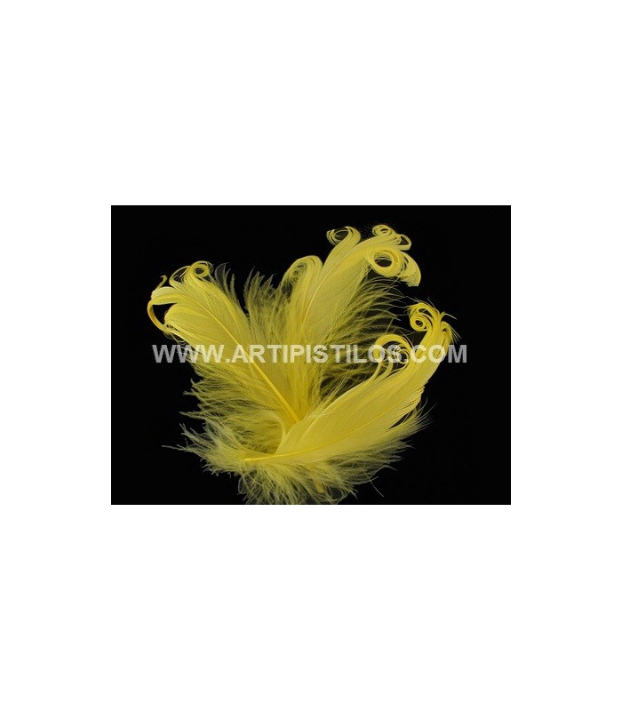 PLUME FRISÉE DE CANARD 15 CMS.