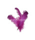 PLUME FRISÉE DE CANARD 15 CMS.