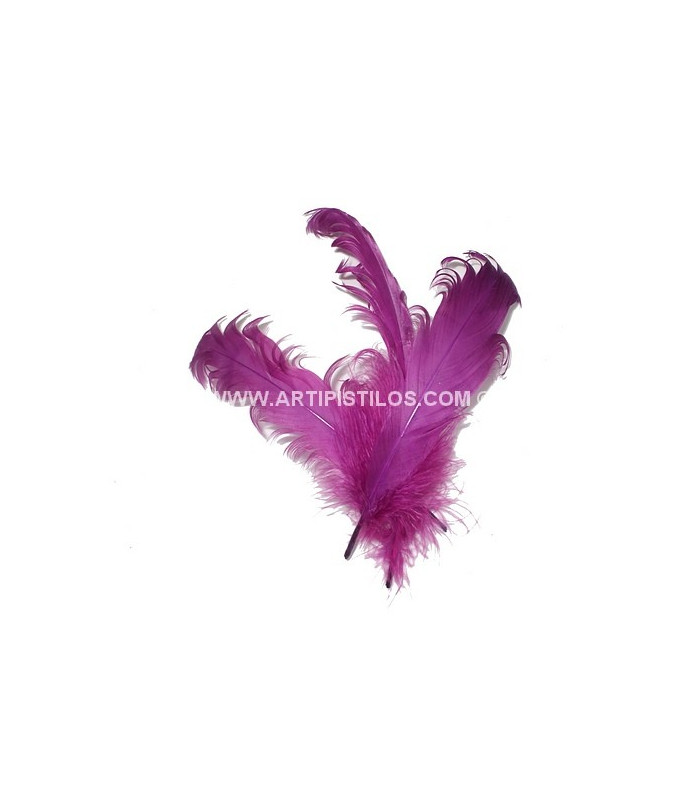 PLUME FRISÉE DE CANARD 15 CMS.