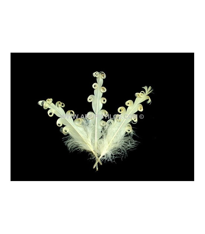 PLUME FRISÉE DE CANARD 15 CMS.