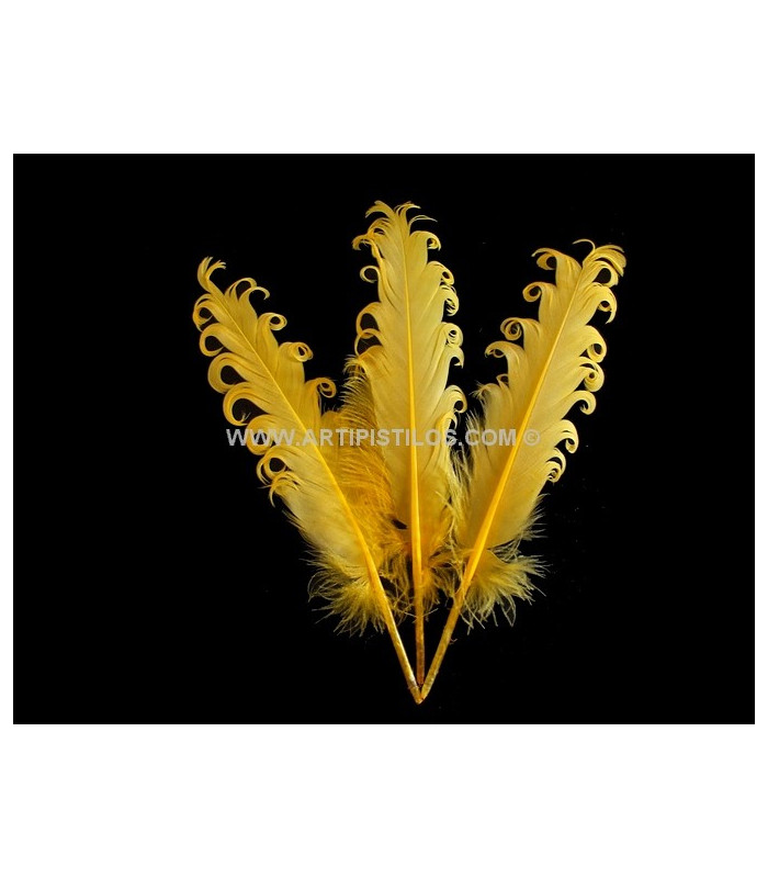 PLUME FRISÉE DE CANARD 15 CMS.